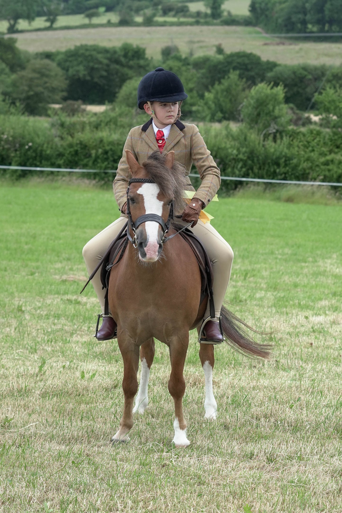 fbh ridden class 2