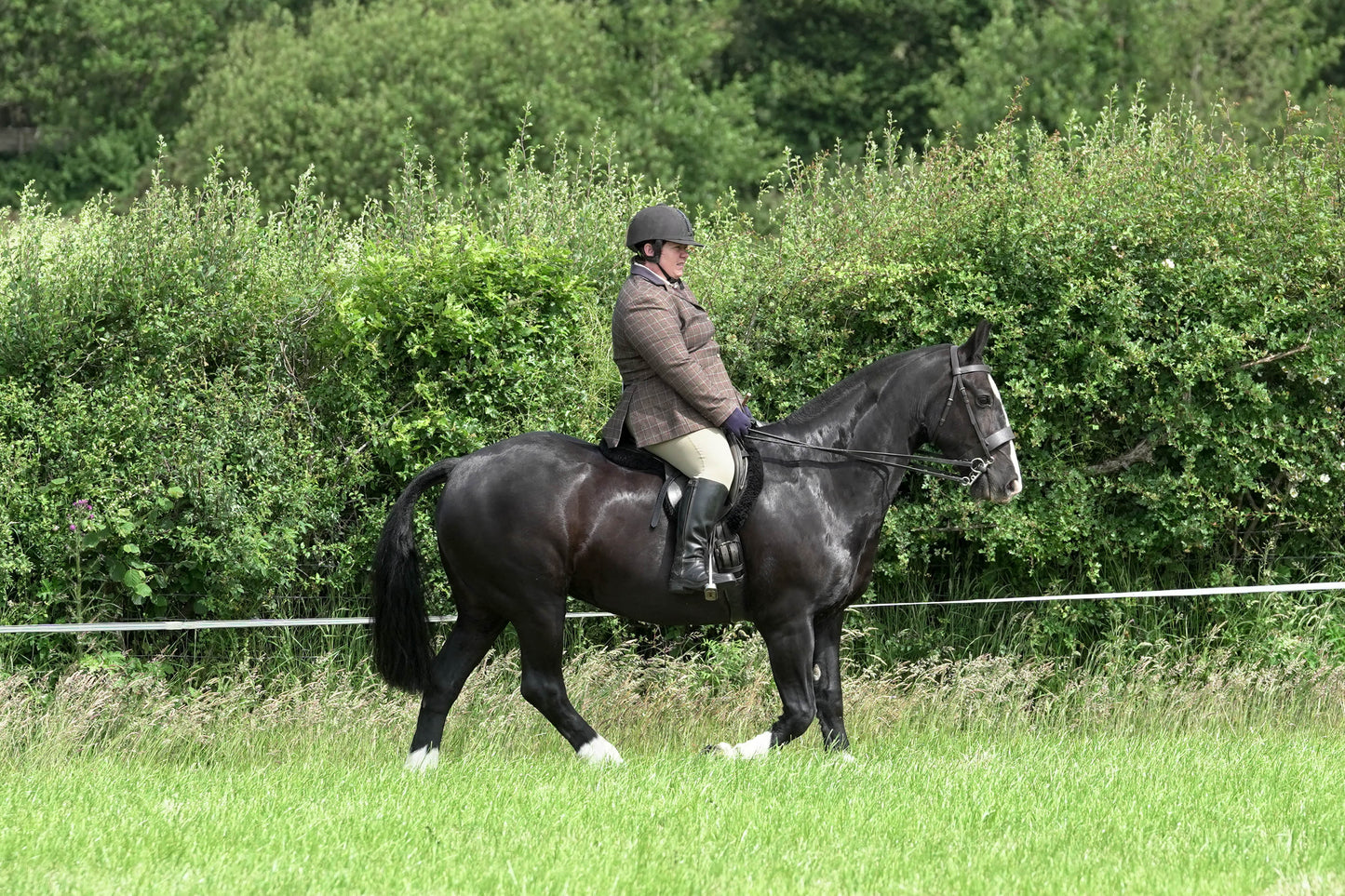 fvh ridden class 3