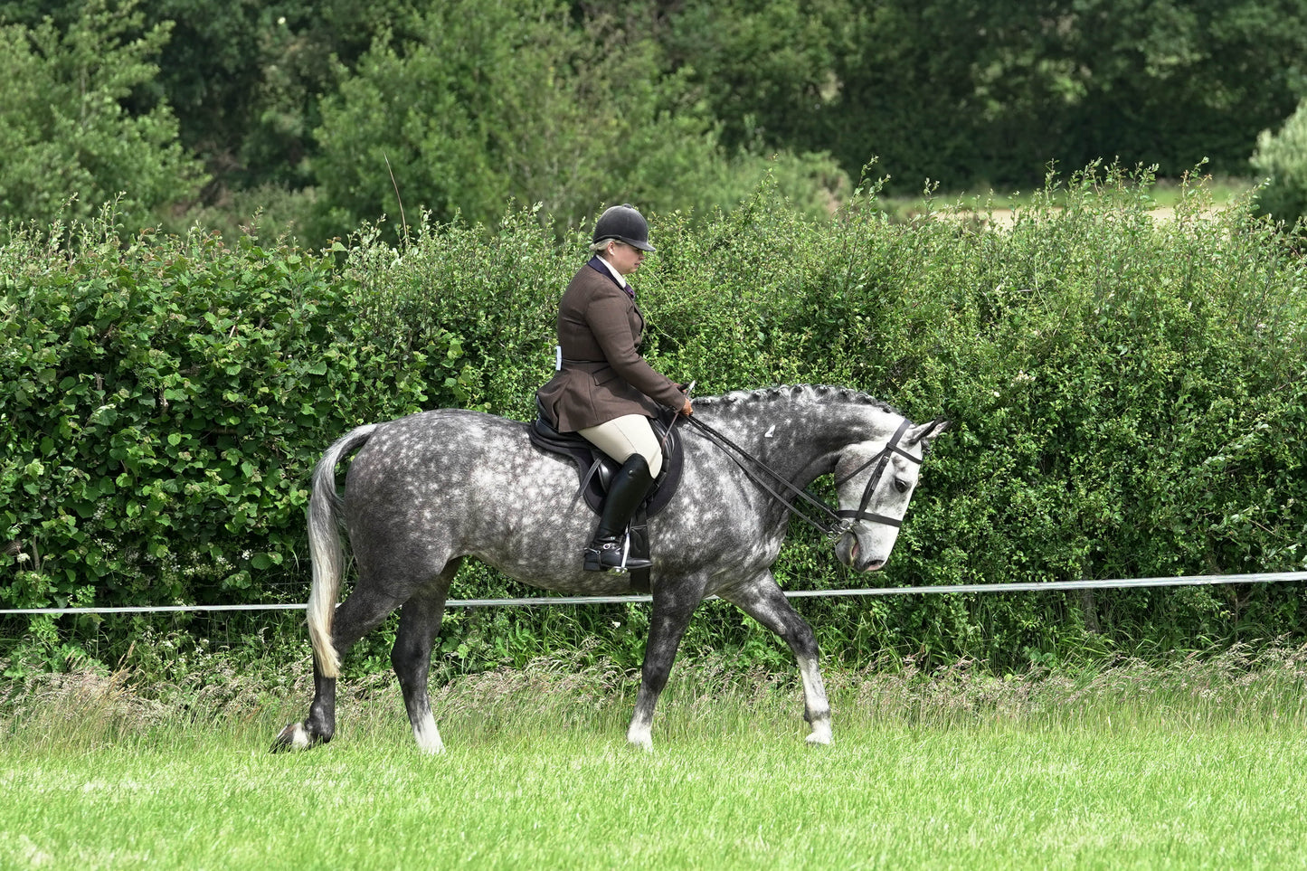 fvh ridden class 3