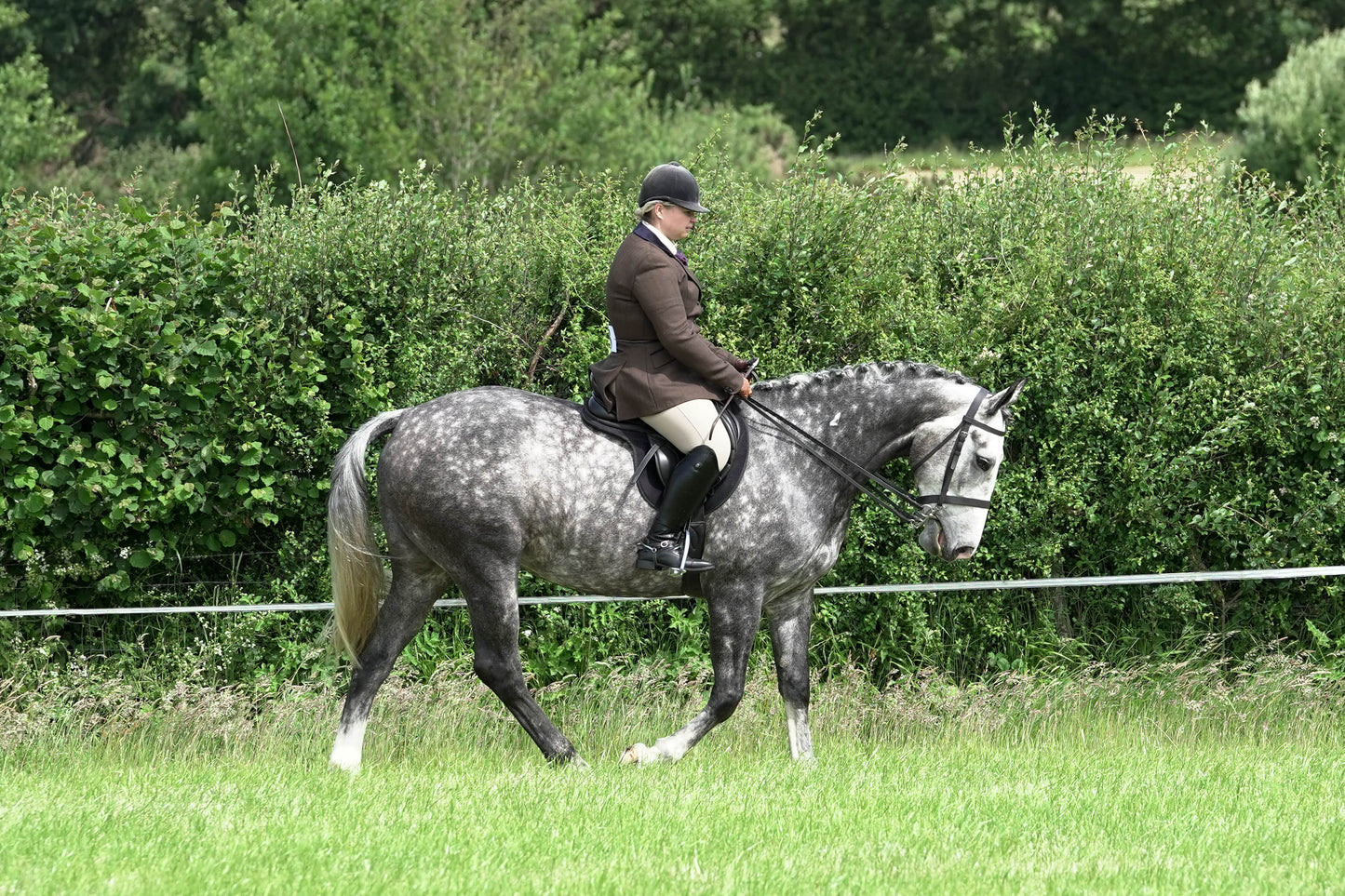 fvh ridden class 3