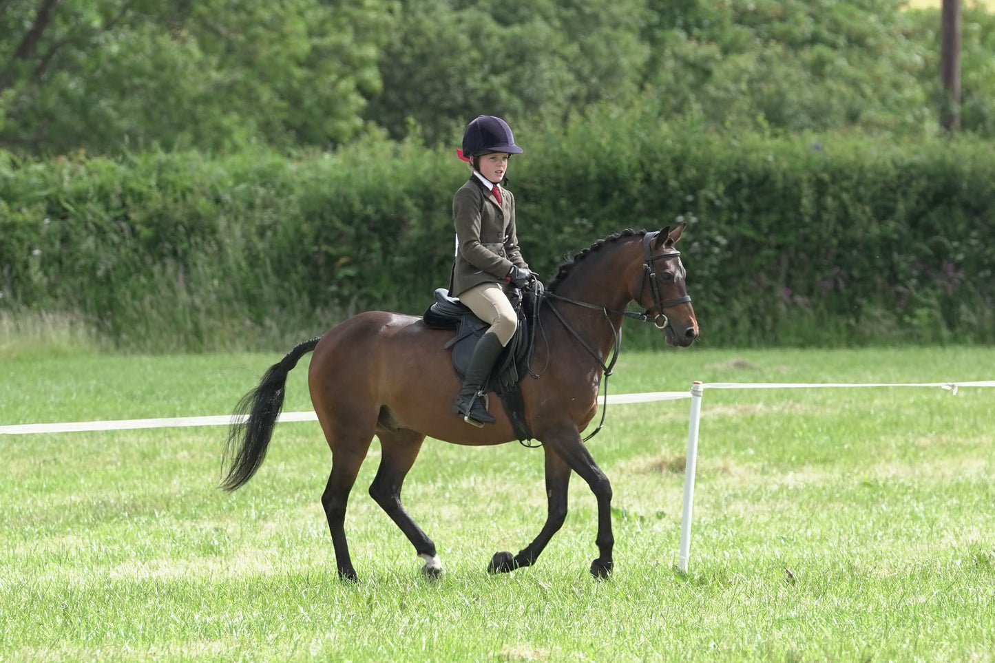 fvh ridden class 3