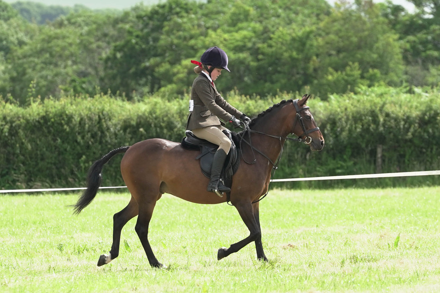 fvh ridden class 3