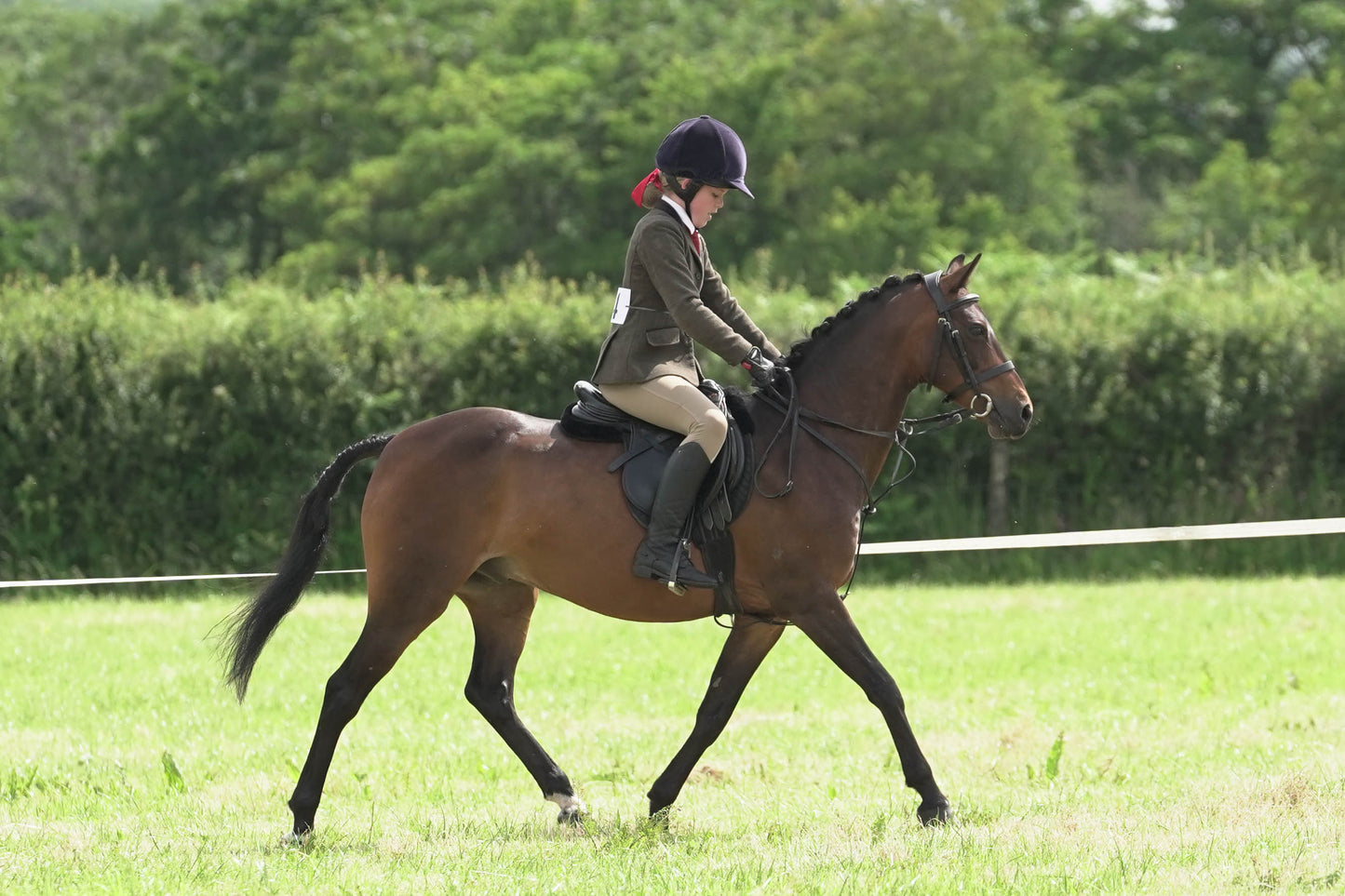 fvh ridden class 3