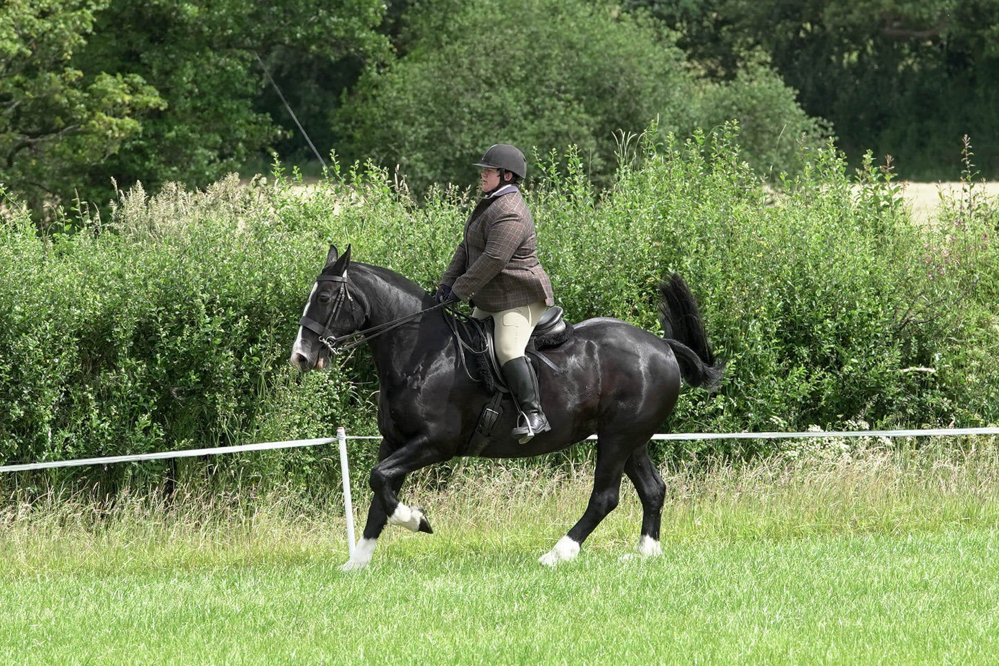 fvh ridden class 3