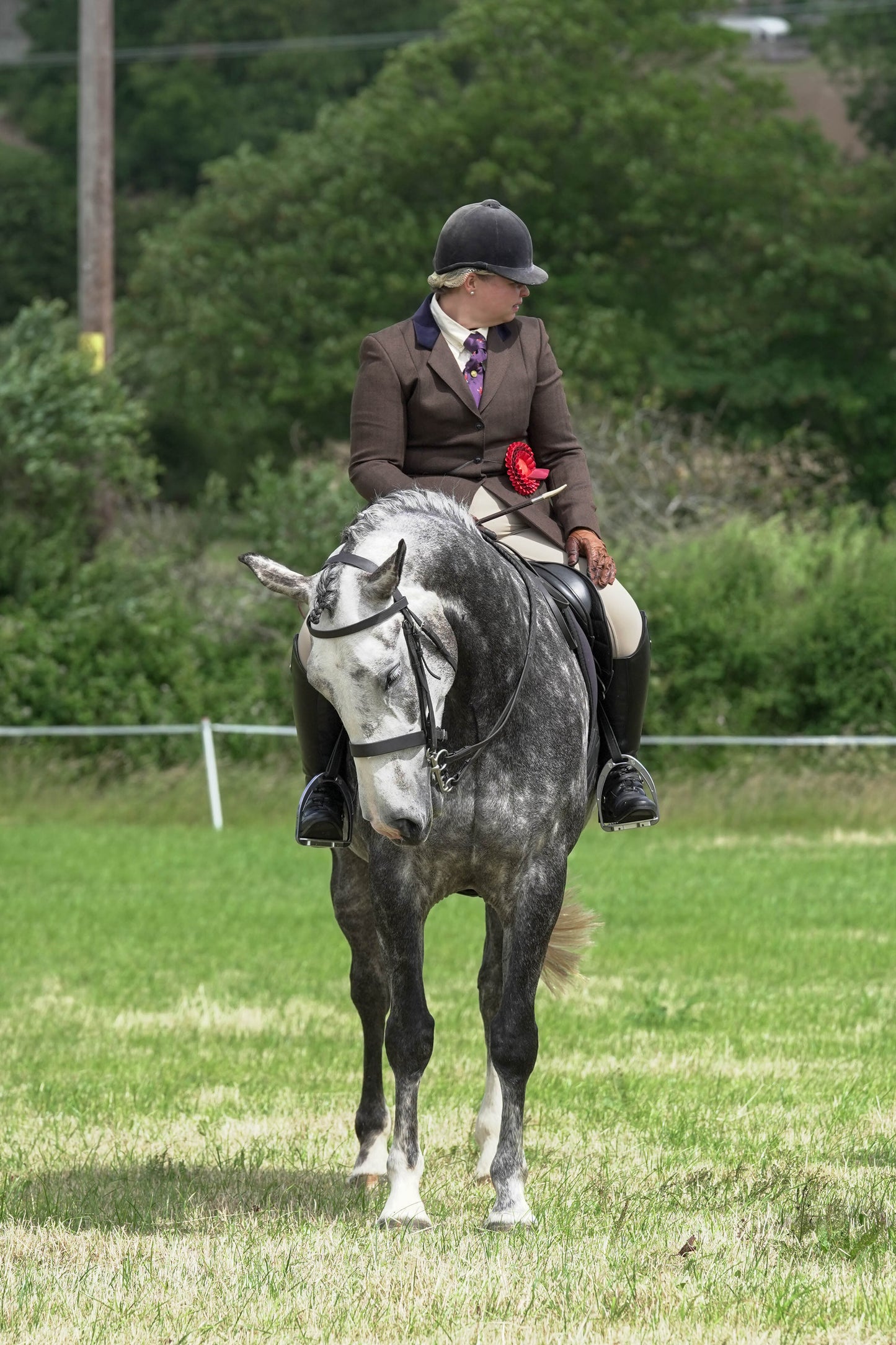 fvh ridden class 3