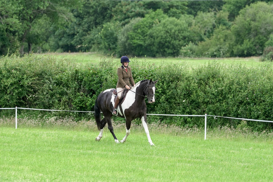 fbh ridden class 4