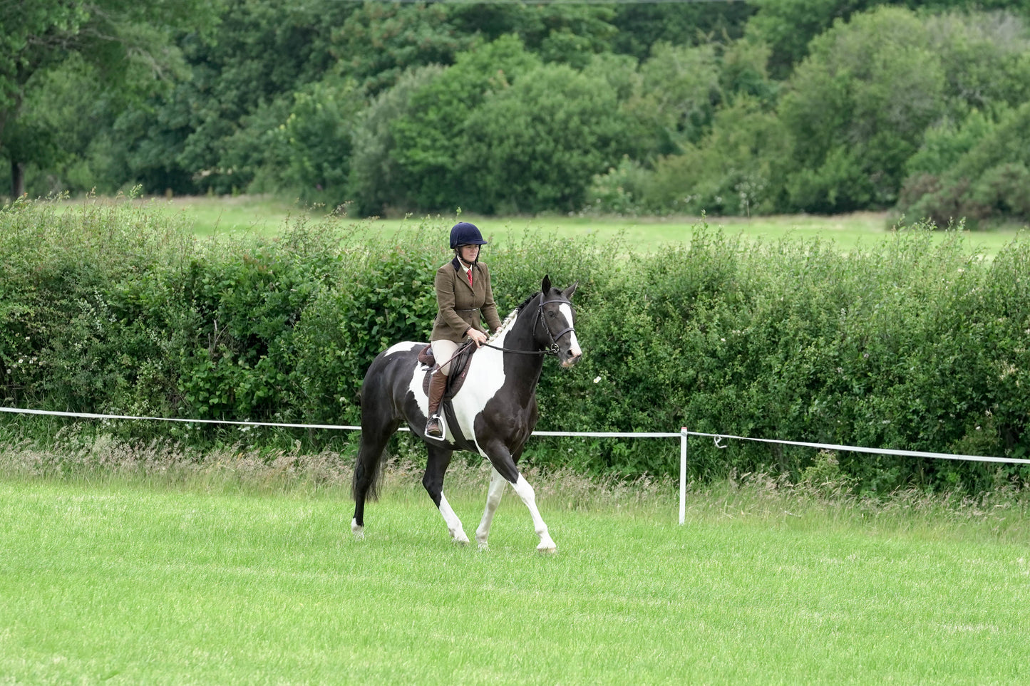 fbh ridden class 4