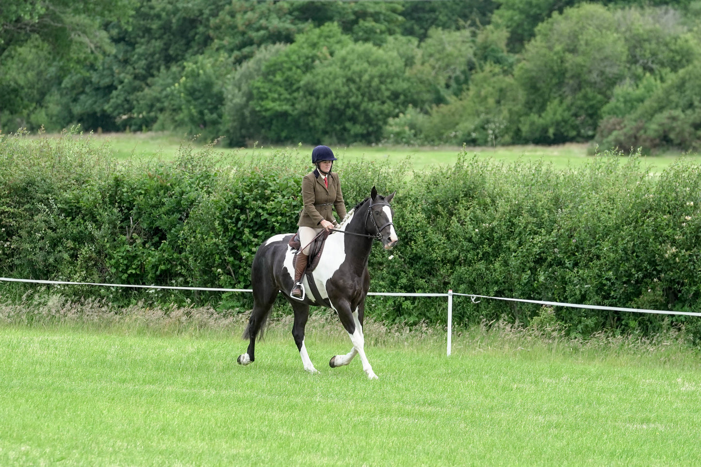 fbh ridden class 4