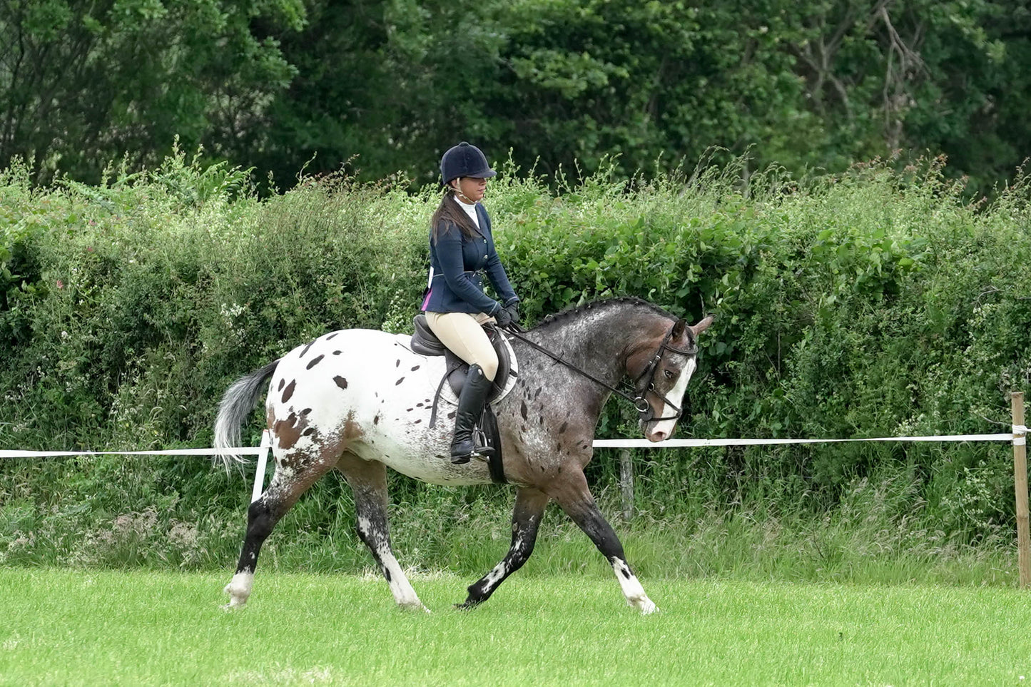 fbh ridden class 4