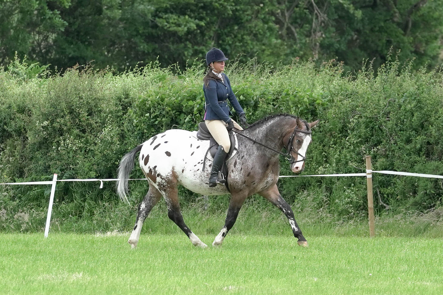 fbh ridden class 4