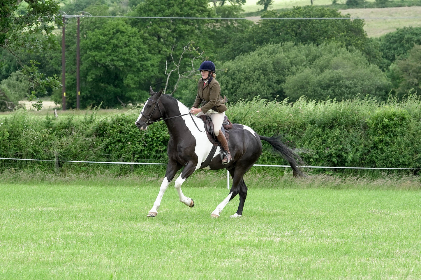 fbh ridden class 4