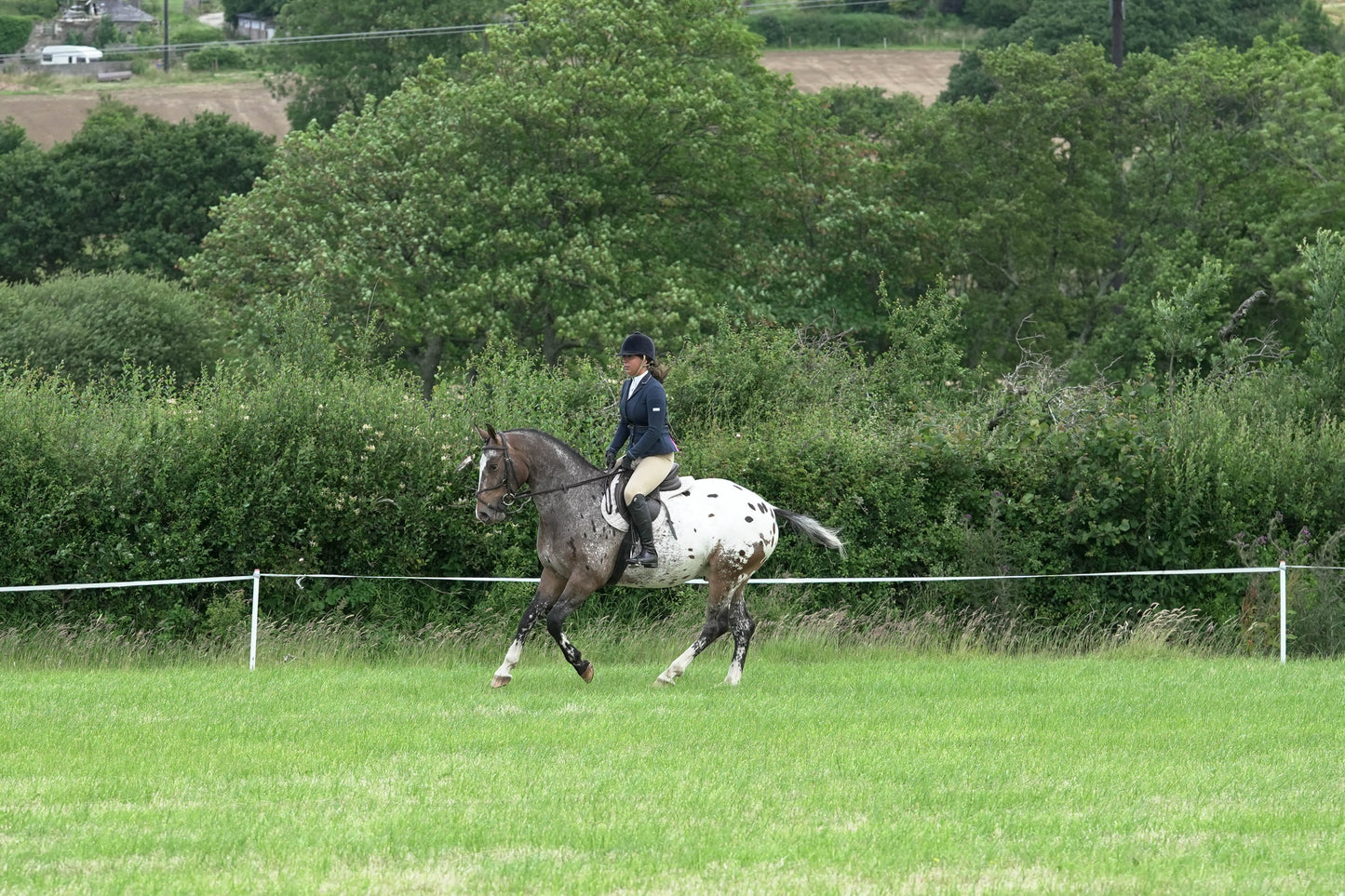 fbh ridden class 4