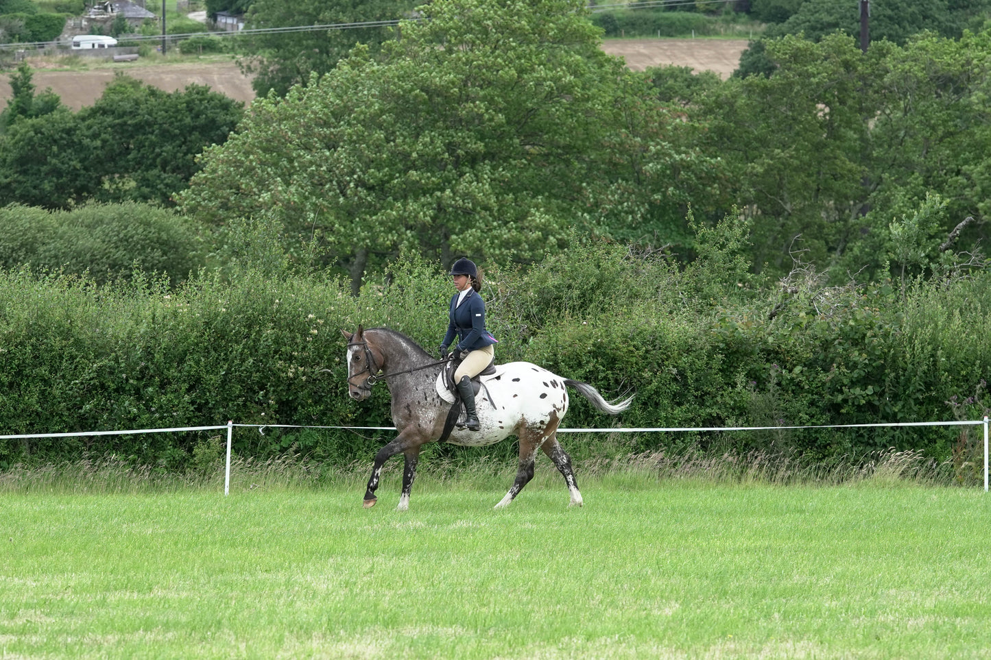 fbh ridden class 4