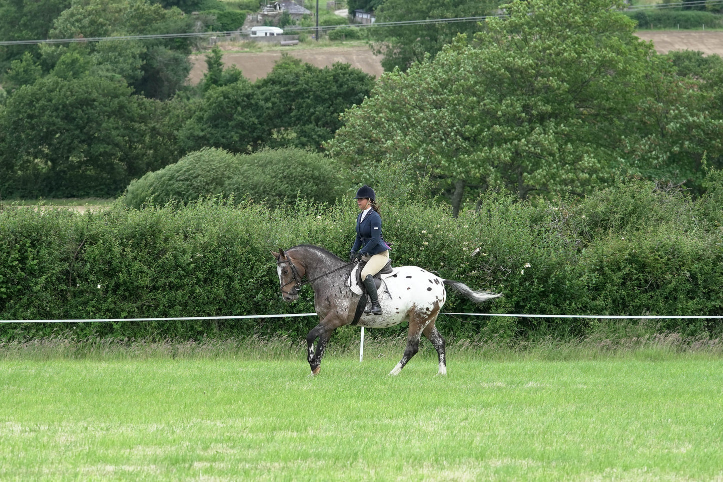 fbh ridden class 4