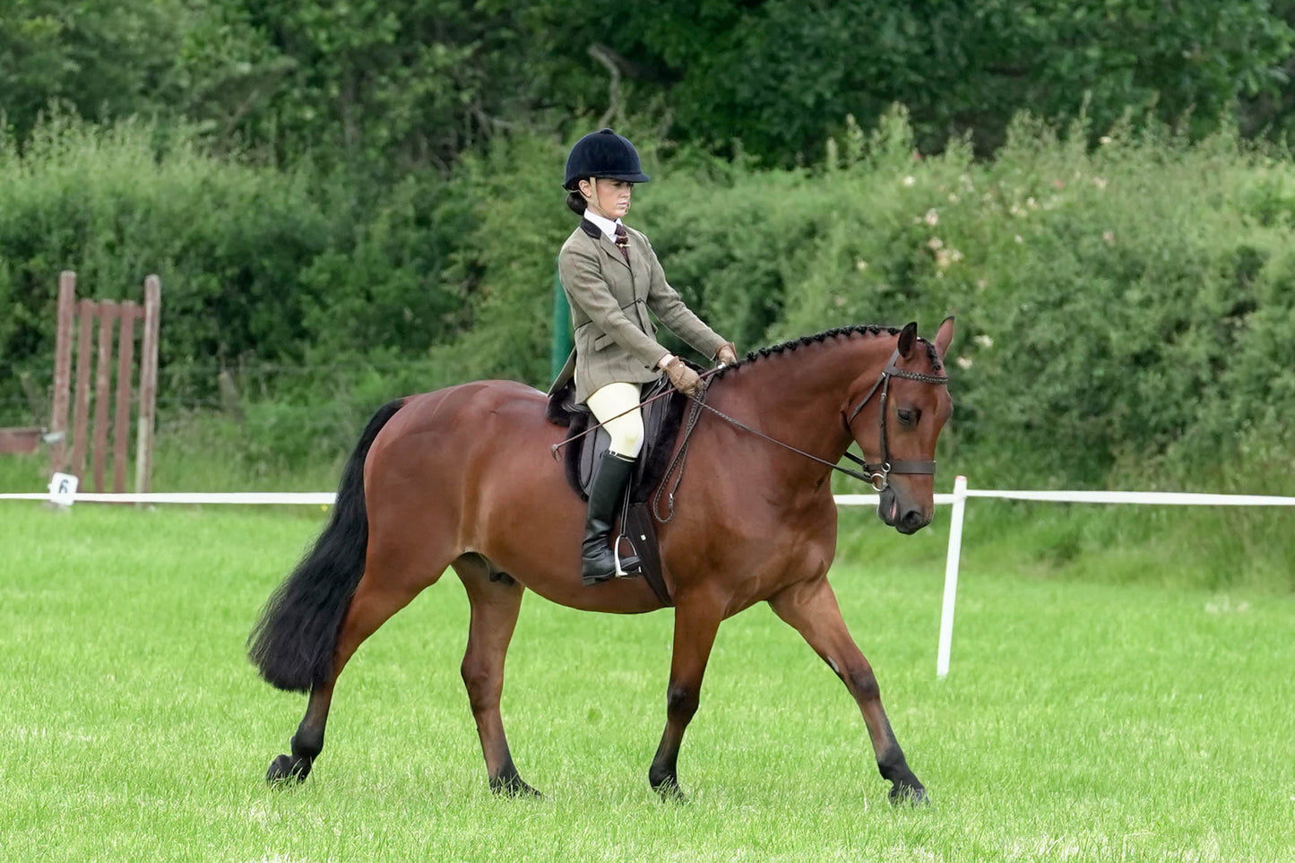 fbh ridden class 5