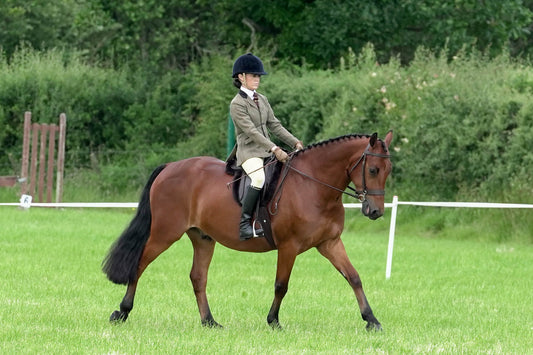 fbh ridden class 5