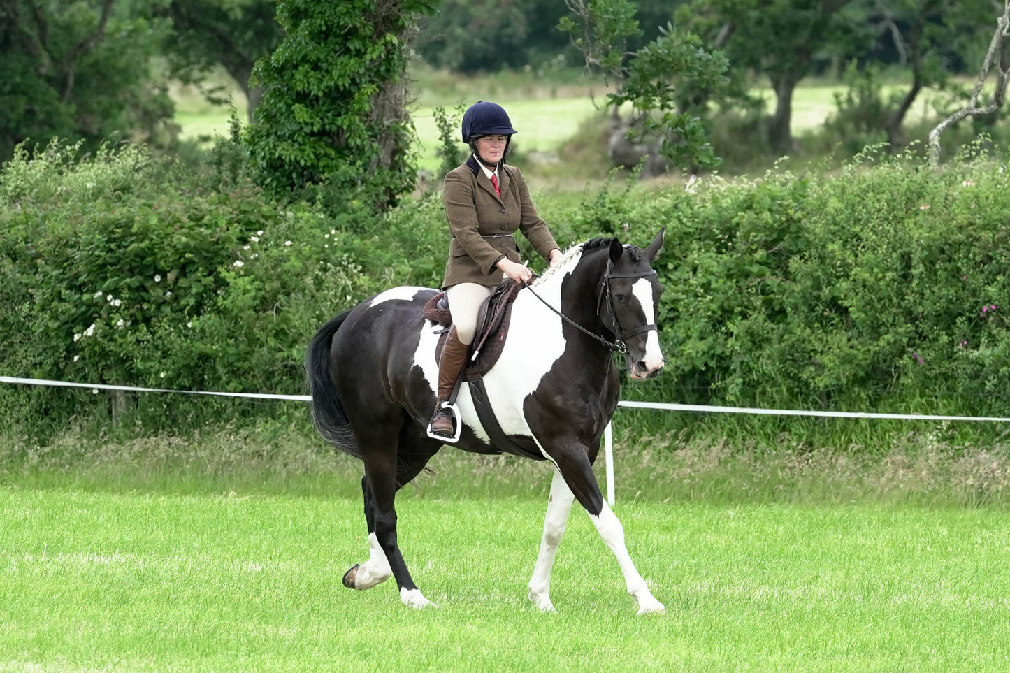 fbh ridden class 5