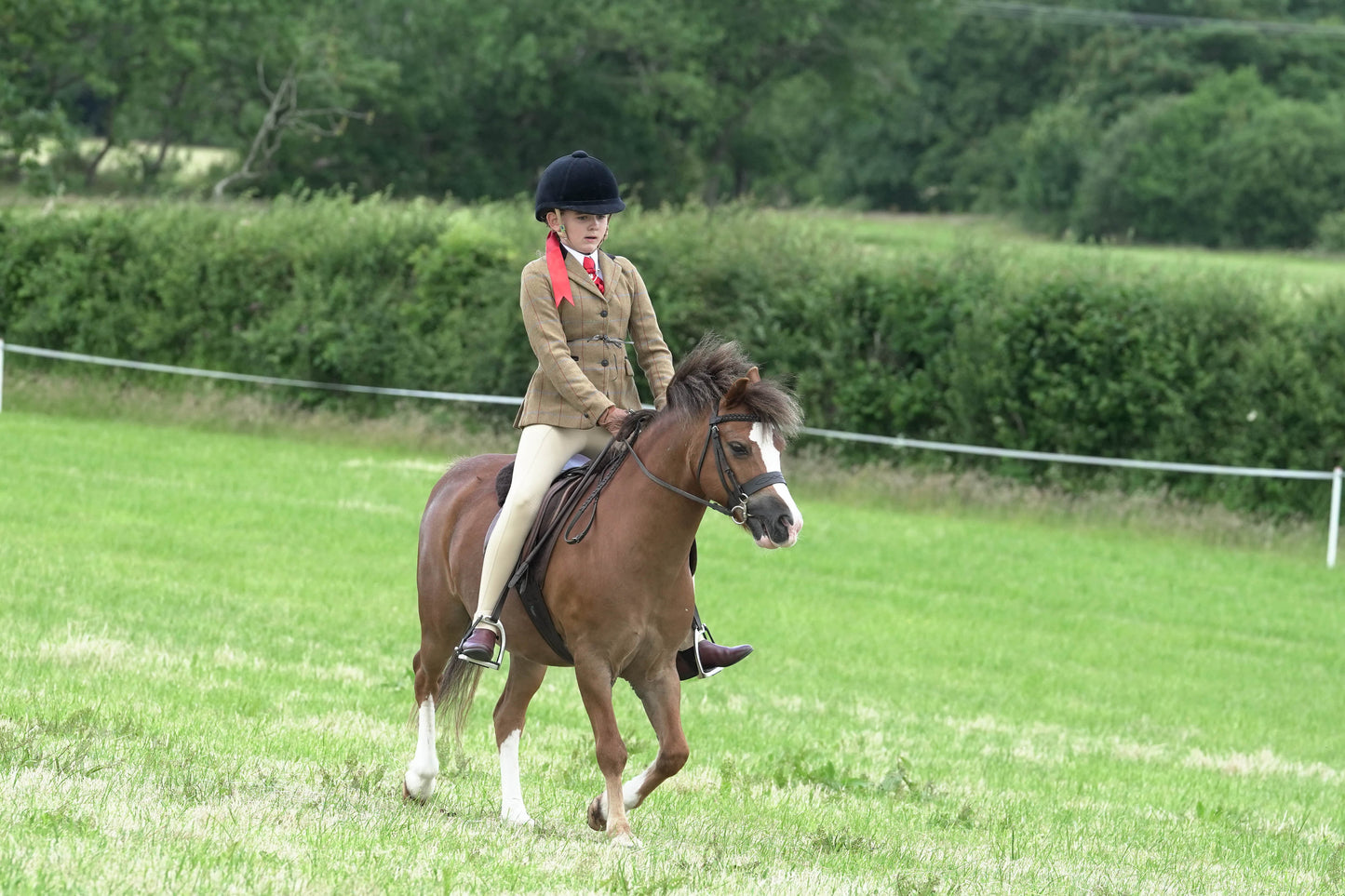 fbh ridden class 5