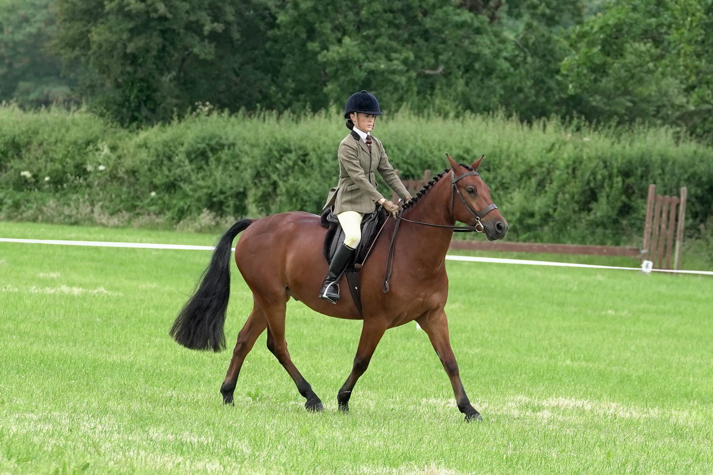 fbh ridden class 5