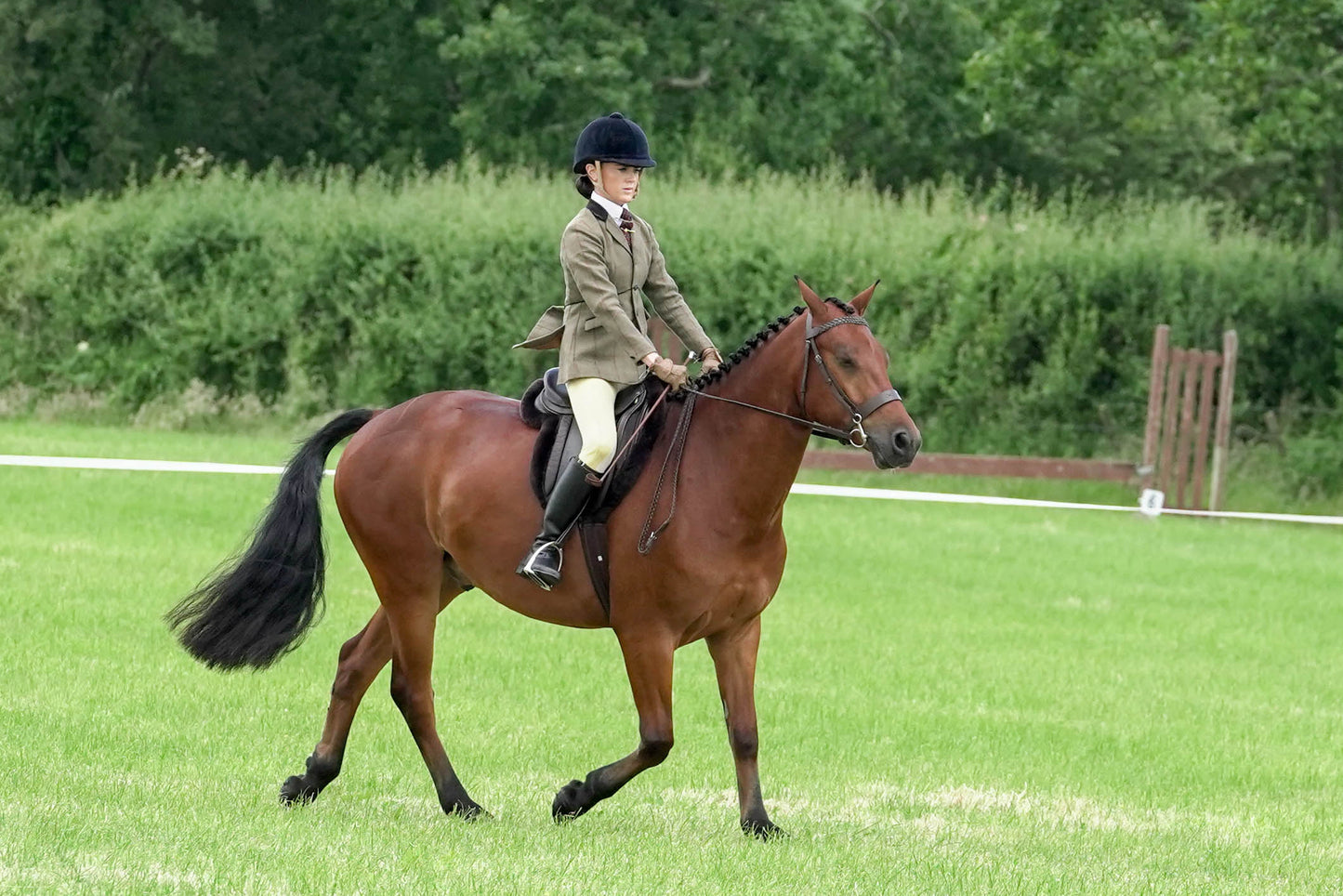 fbh ridden class 5