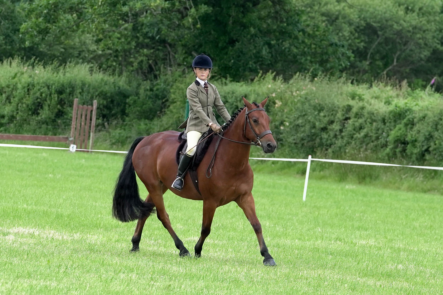 fbh ridden class 5