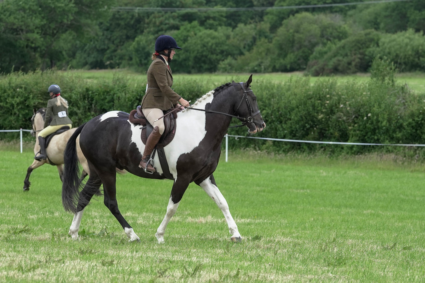 fbh ridden class 5