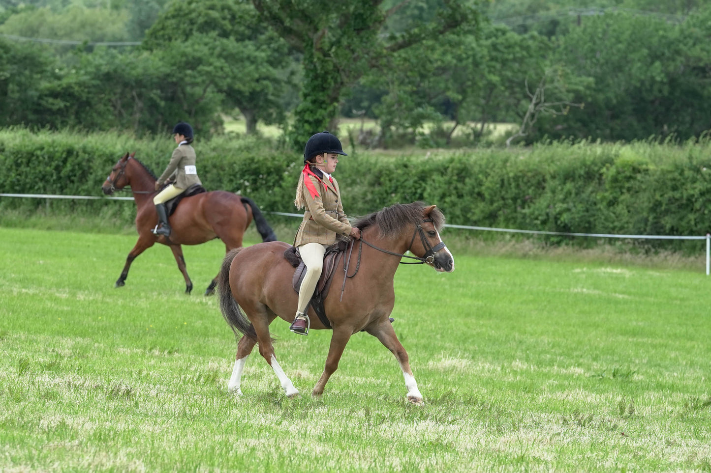 fbh ridden class 5