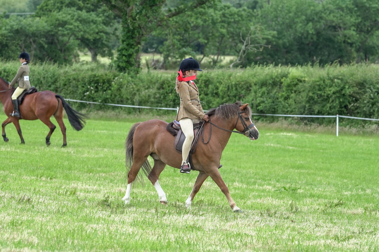 fbh ridden class 5