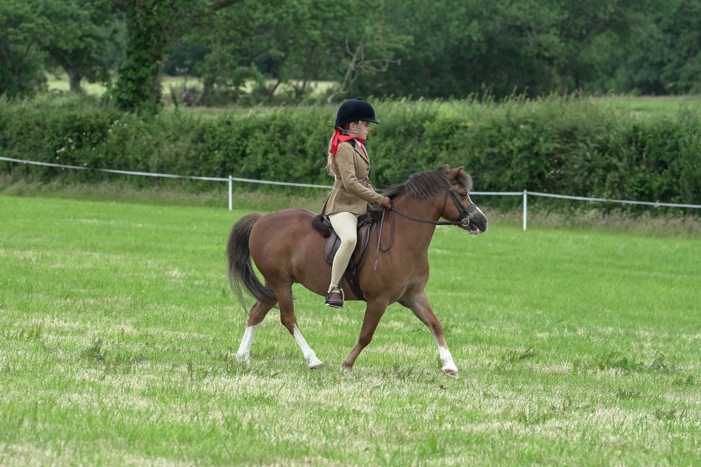 fbh ridden class 5