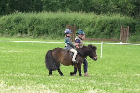 fbh ridden class 6