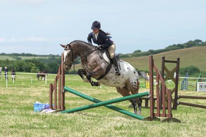 fbh hunter ring