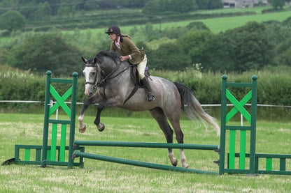 fbh hunter ring