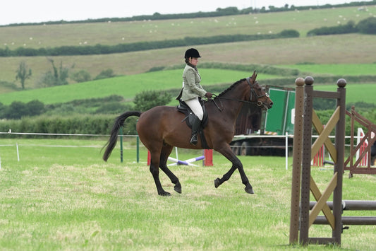 fbh hunter ring class 1