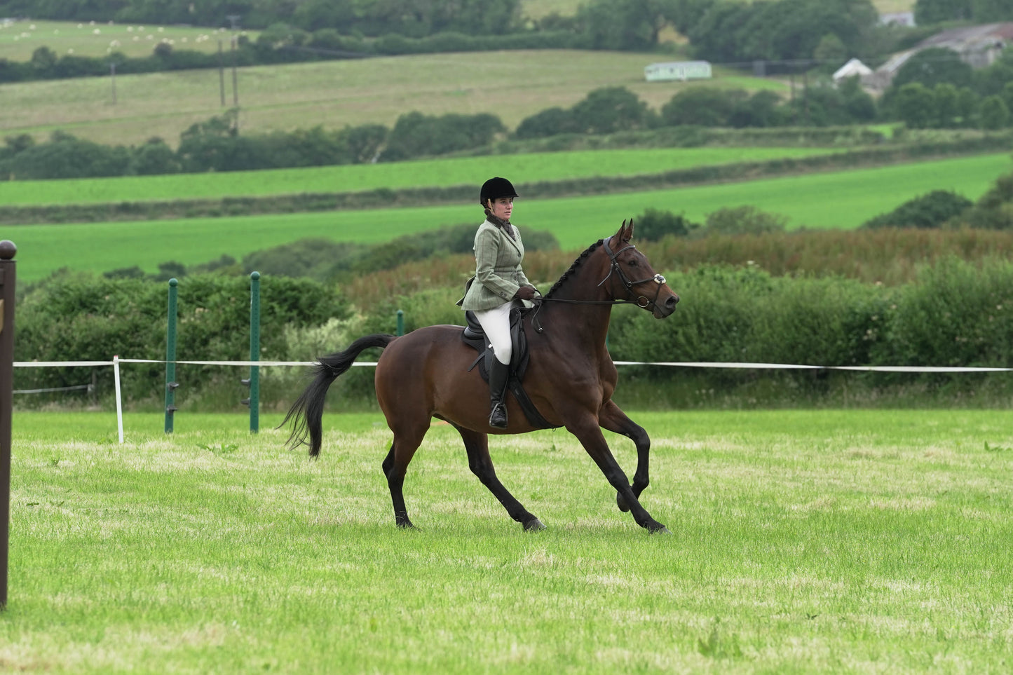 fbh hunter ring class 1