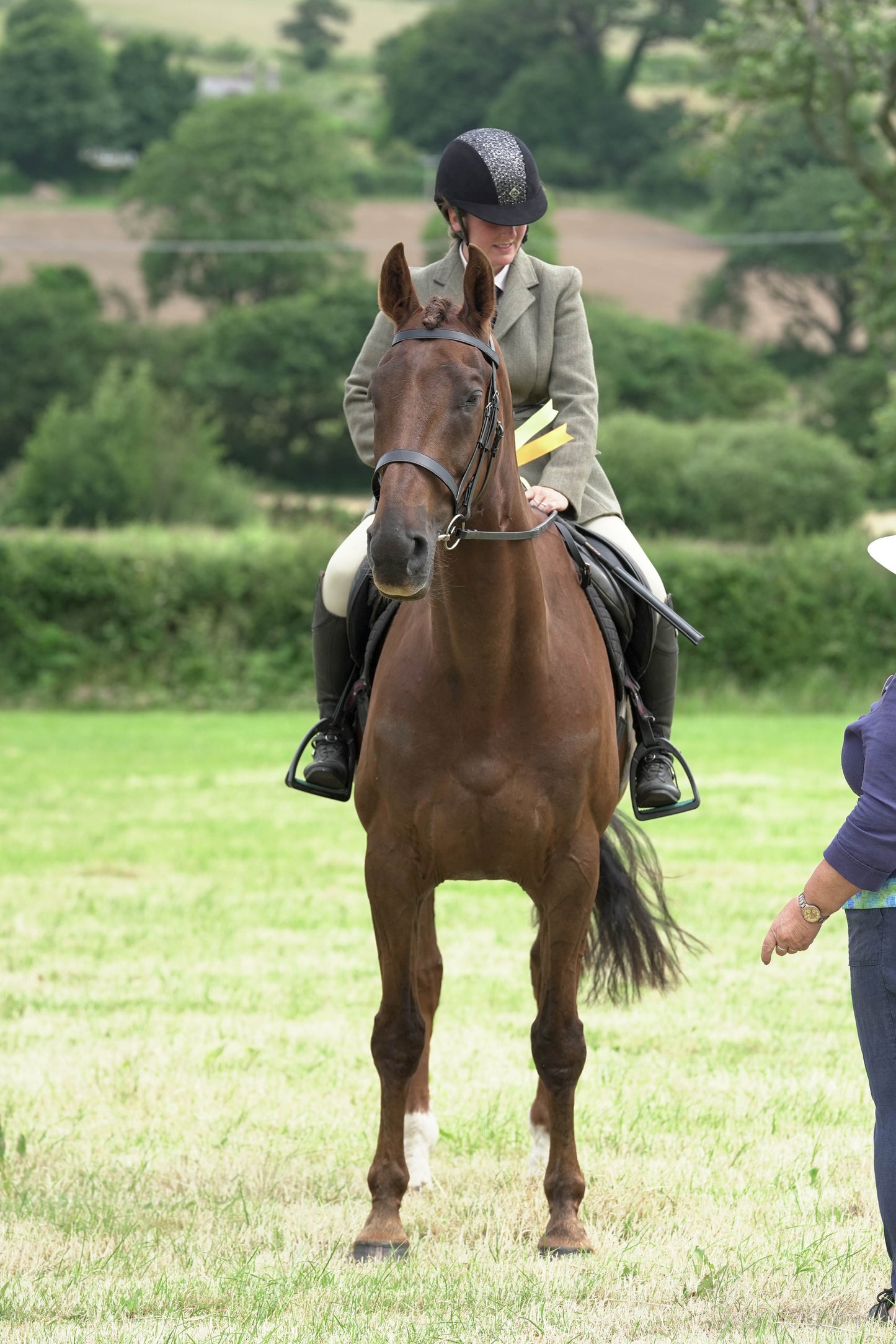 fbh hunter ring class 2