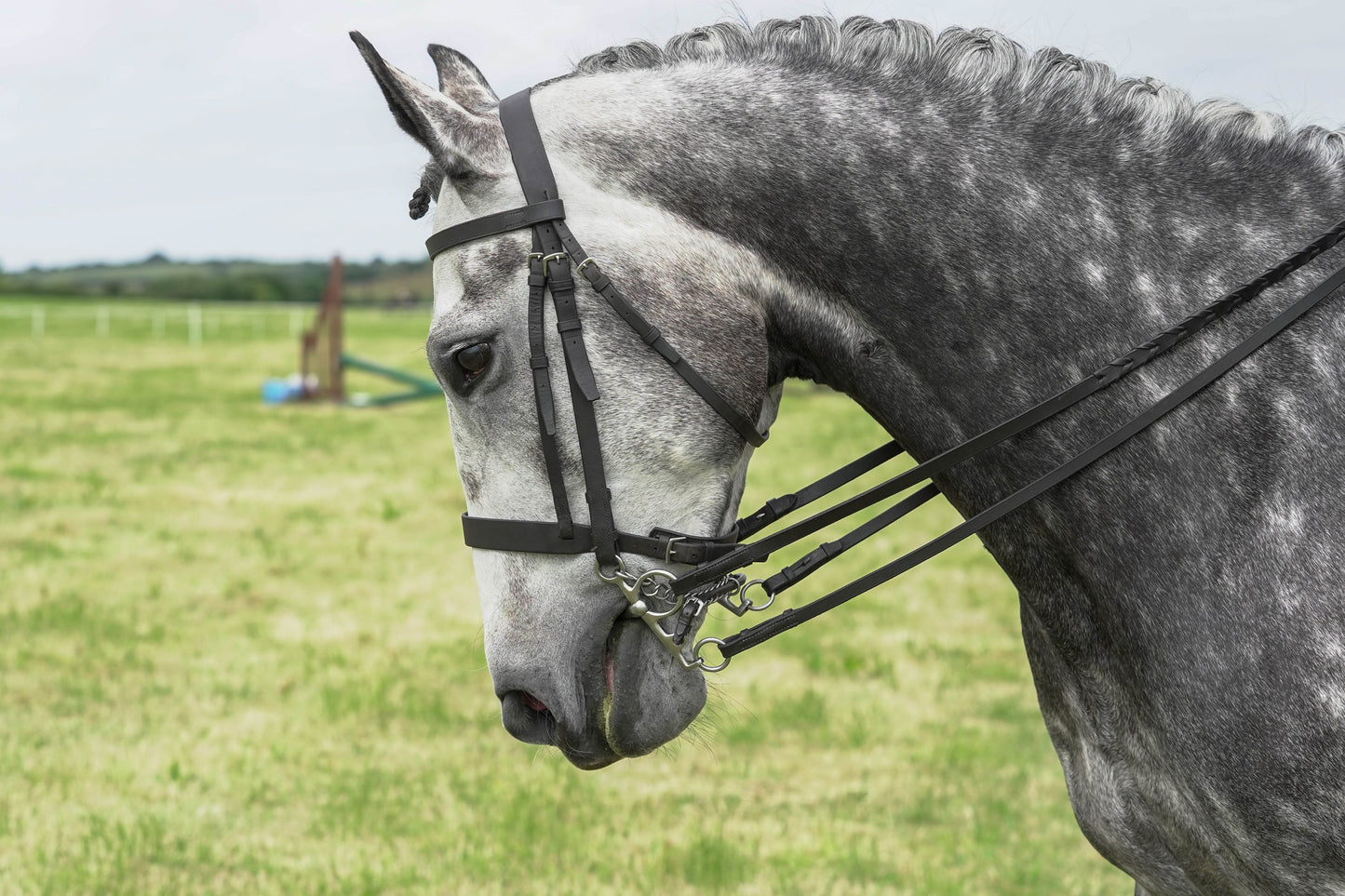 fbh hunter ring class 2