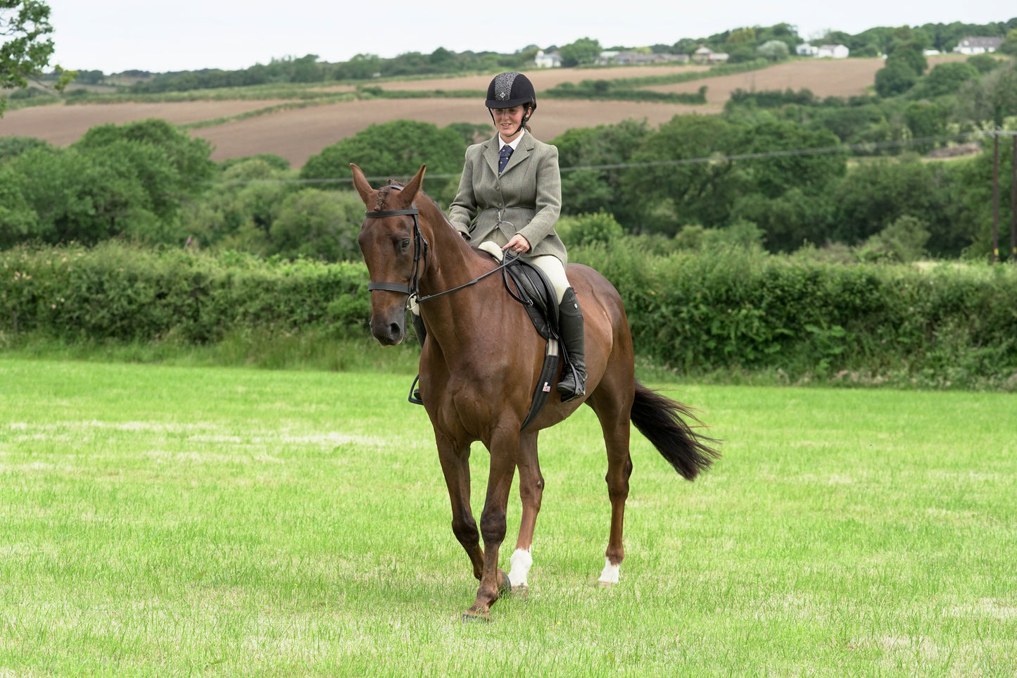 fbh hunter ring class 2