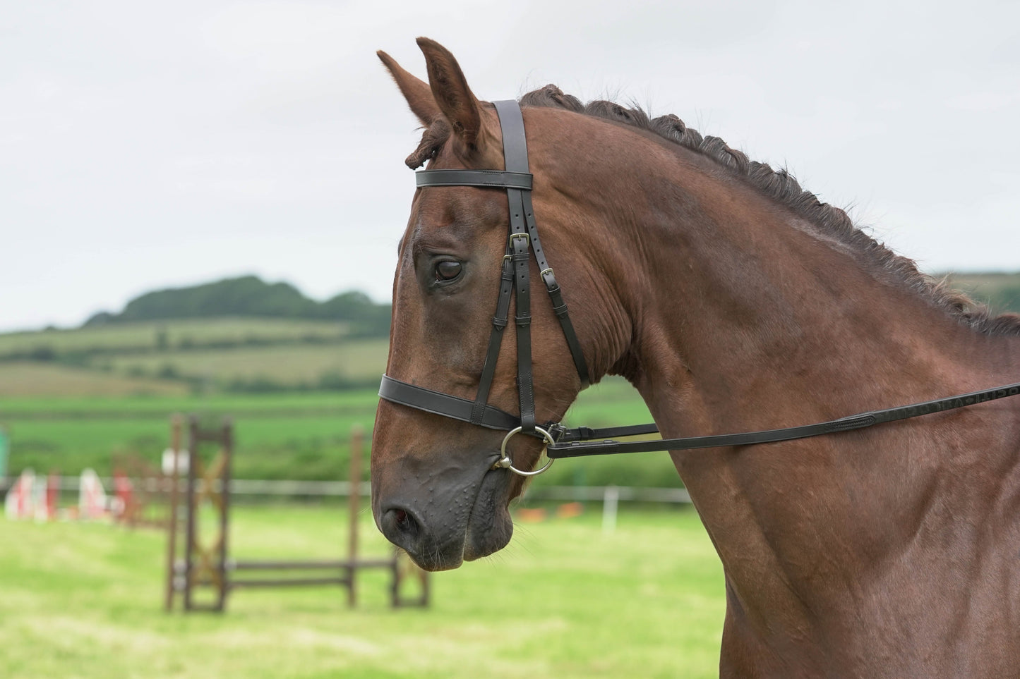 fbh hunter ring class 2