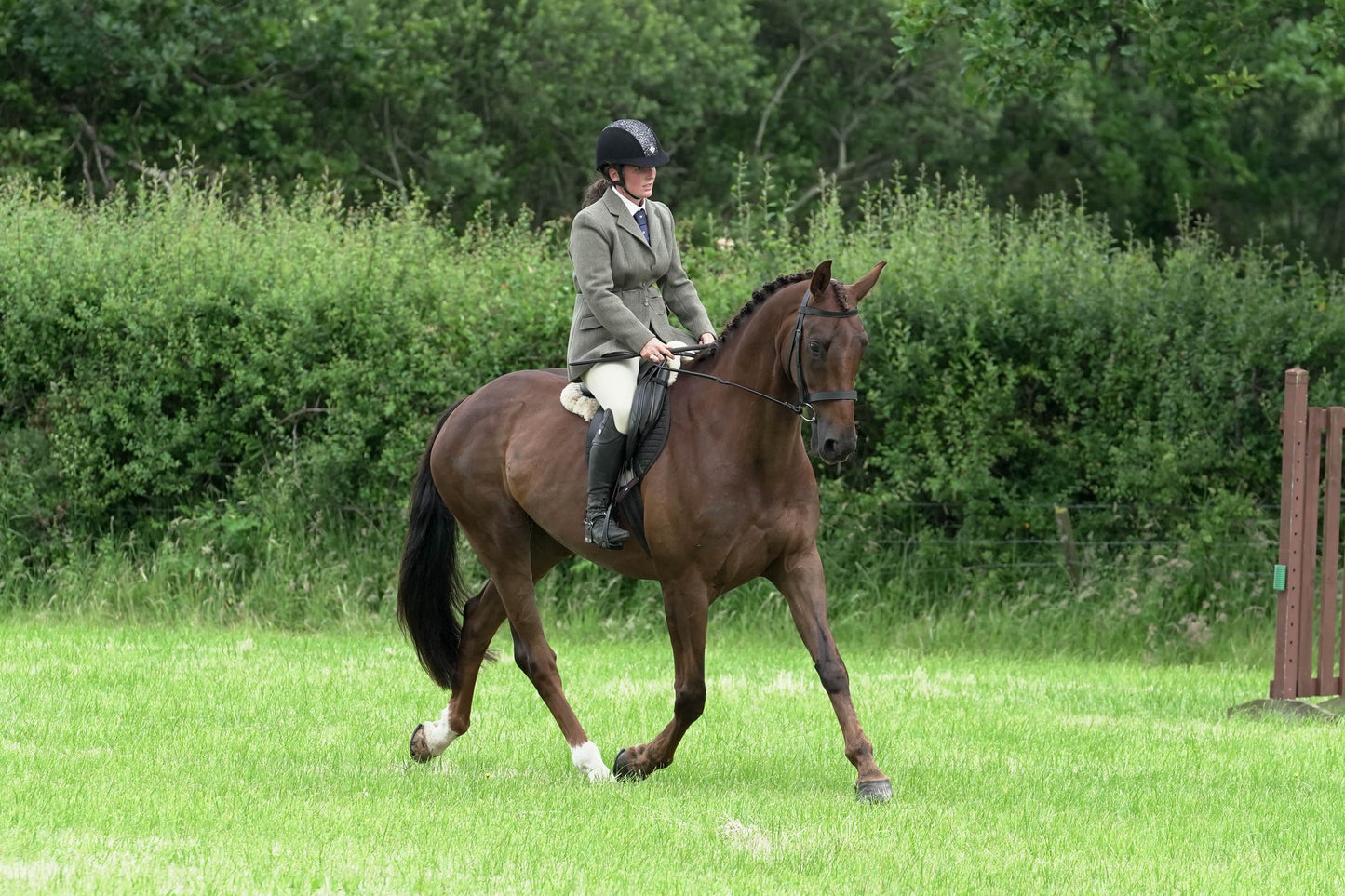 fbh hunter ring class 2