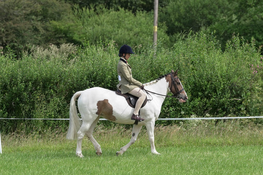 fbh hunter ring class 3