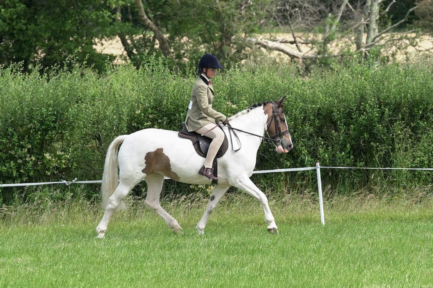 fbh hunter ring class 3