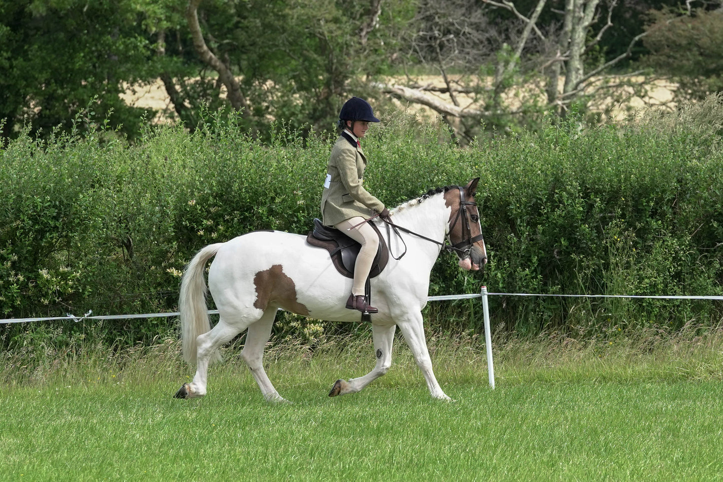 fbh hunter ring class 3