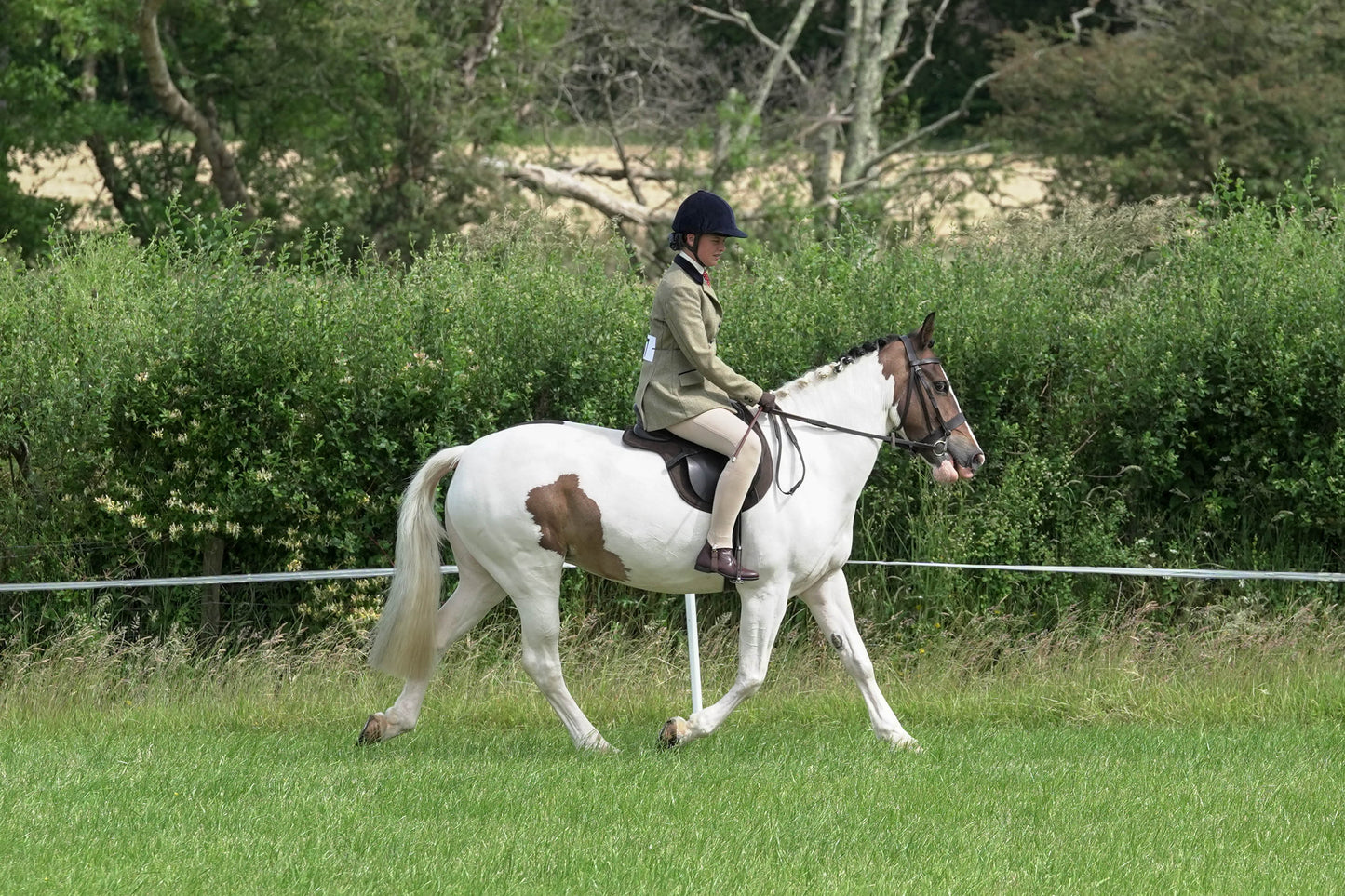 fbh hunter ring class 3