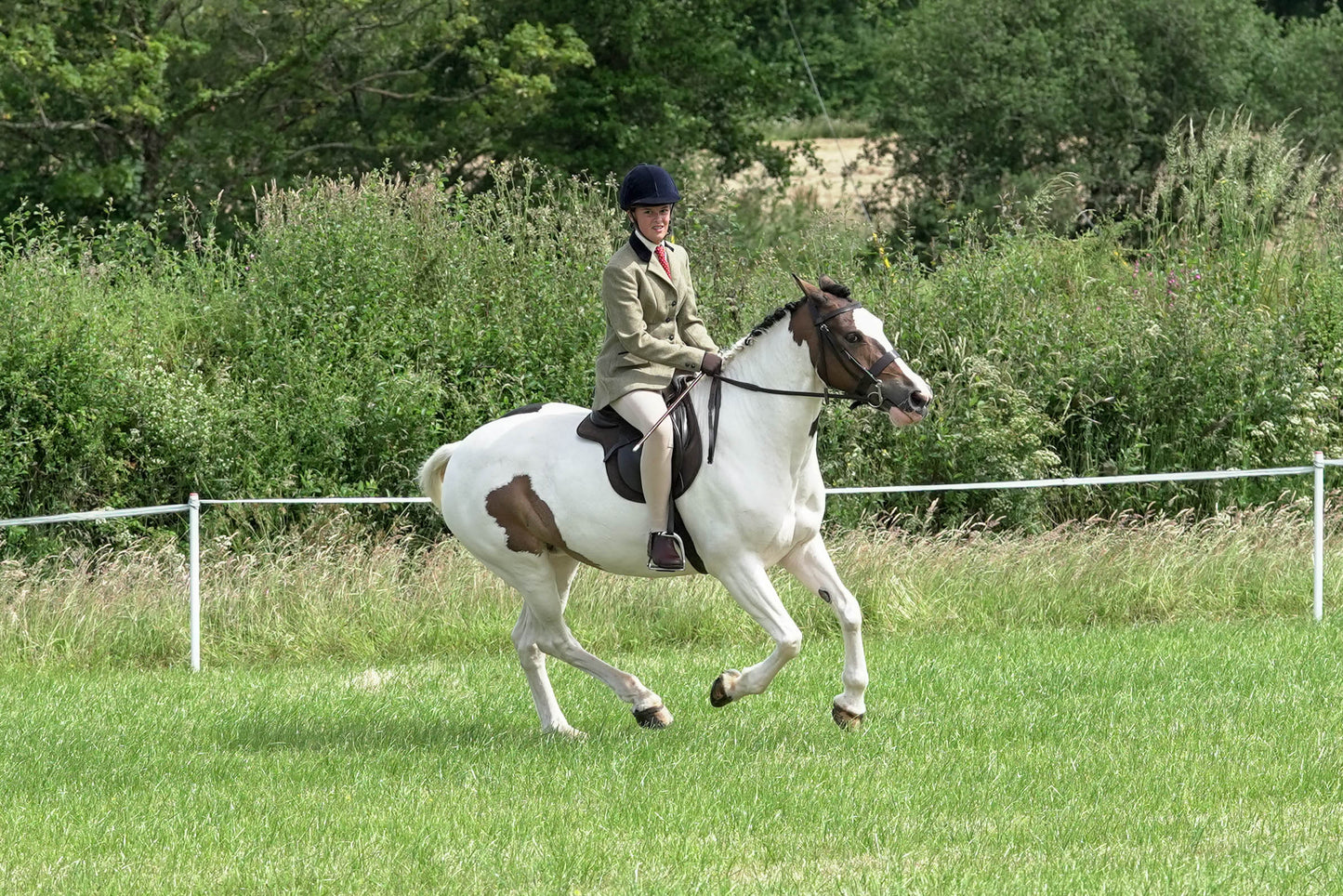 fbh hunter ring class 3