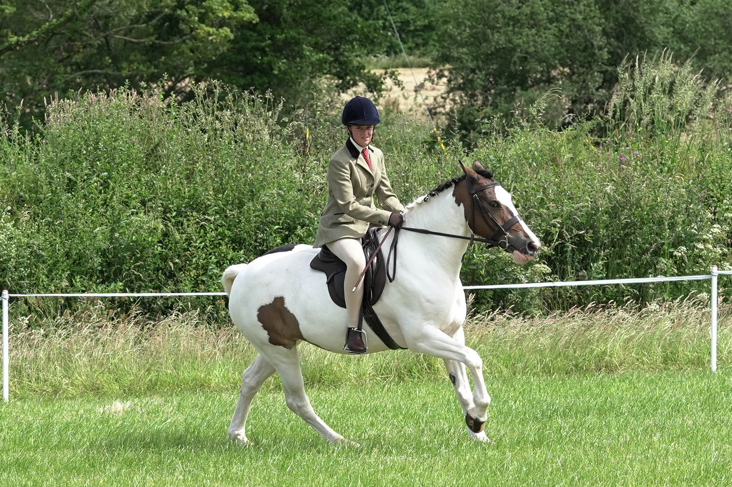 fbh hunter ring class 3