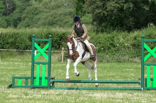 fbh hunter ring class 4