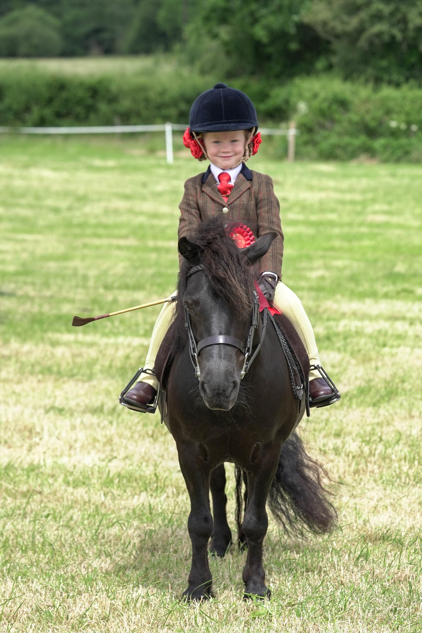 fbh hunter ring class 4
