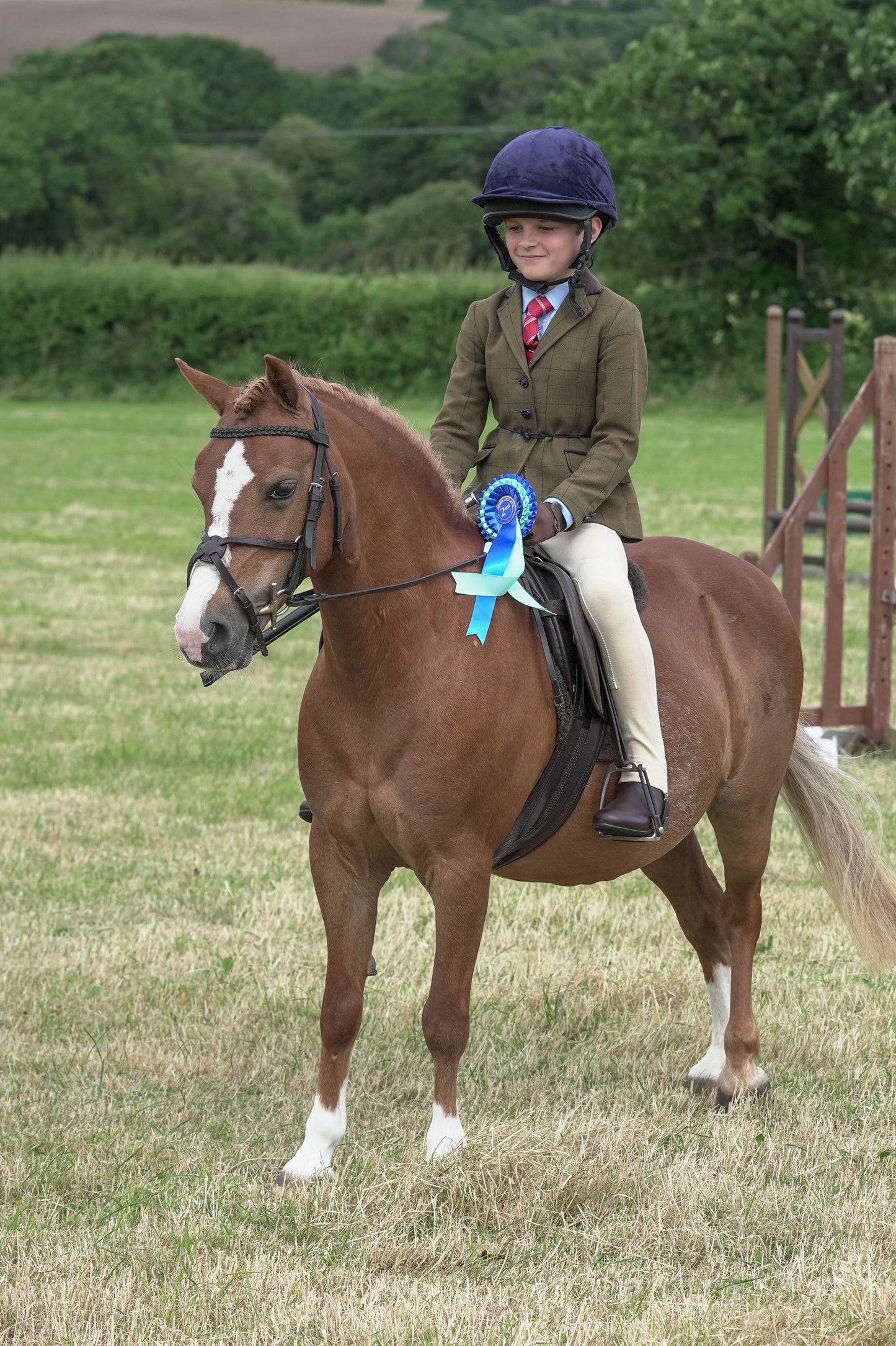 fbh hunter ring class 4