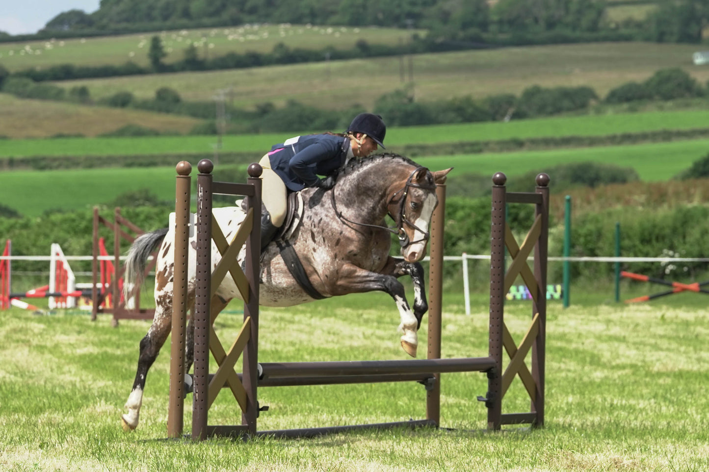 fbh hunter ring
