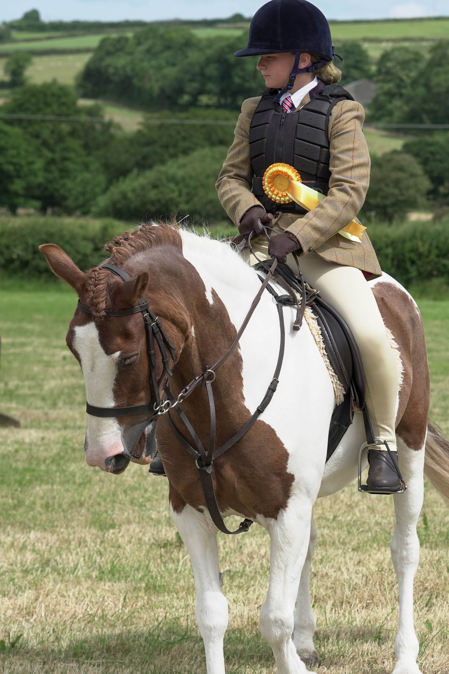 fbh hunter ring class 4